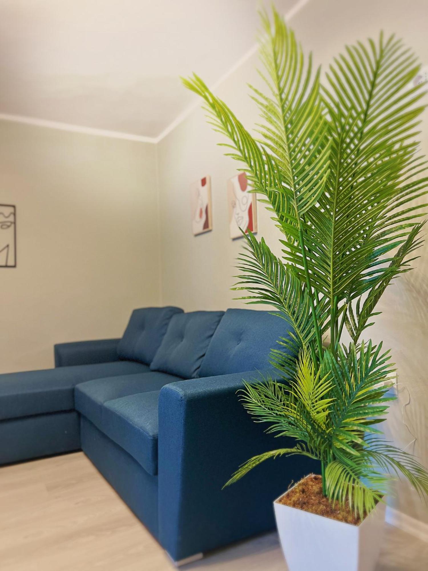 Joyful Apartment Тирана Екстер'єр фото